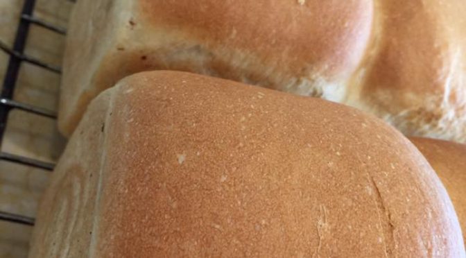 中種法のイギリスパン